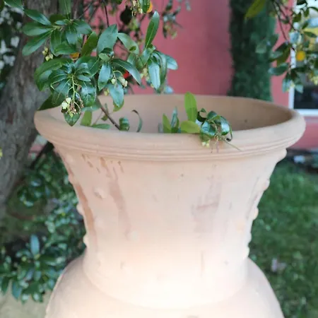 La Corsica * Acqua Doria